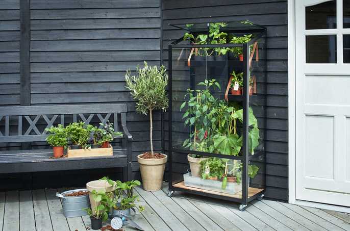 Mini serre adossée pour terrasse avec des plantes et des outils de jardinage